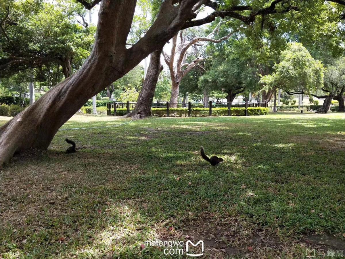 Appartamento 星霖之家 Taichung Esterno foto